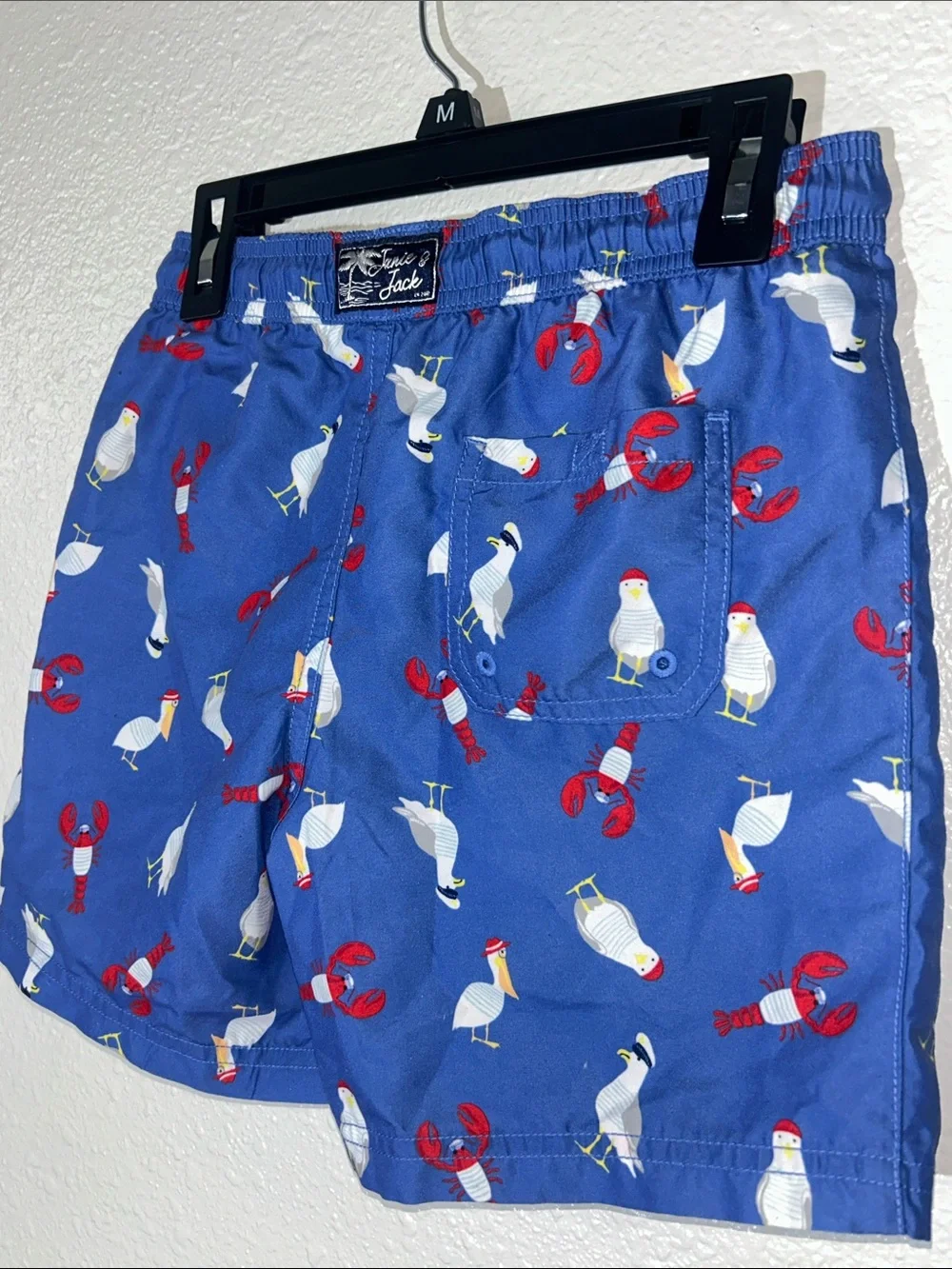 Boy’s Jamie and Jack Blue Seagull & Lobster Swim Shorts